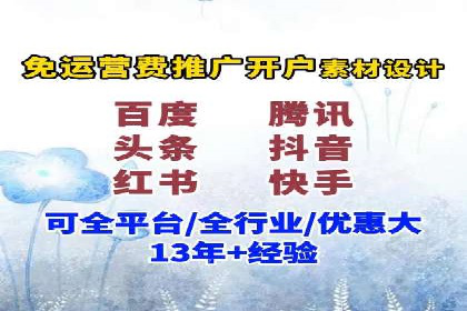某知名品牌SEM广告投放的创意与执行